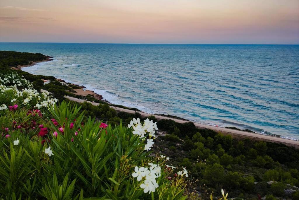 Apartamento Recien Reformado En Primera Linea Con Vistas A La Playa De La Almadraba Benicàssim Zewnętrze zdjęcie